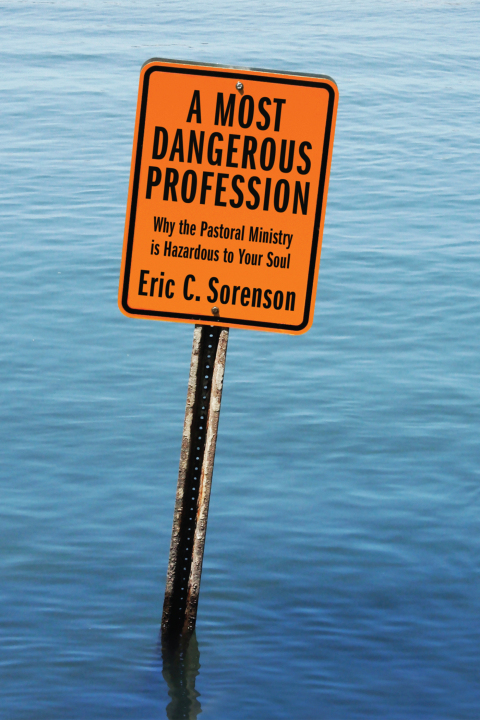 Cover image for book A Most Dangerous Profession