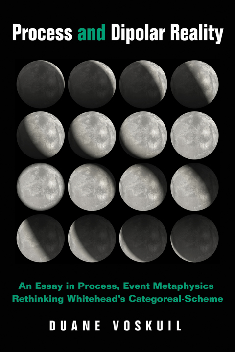 Cover image for book Process and Dipolar Reality