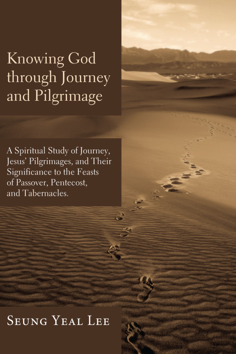 Cover image for book Knowing God through Journey and Pilgrimage