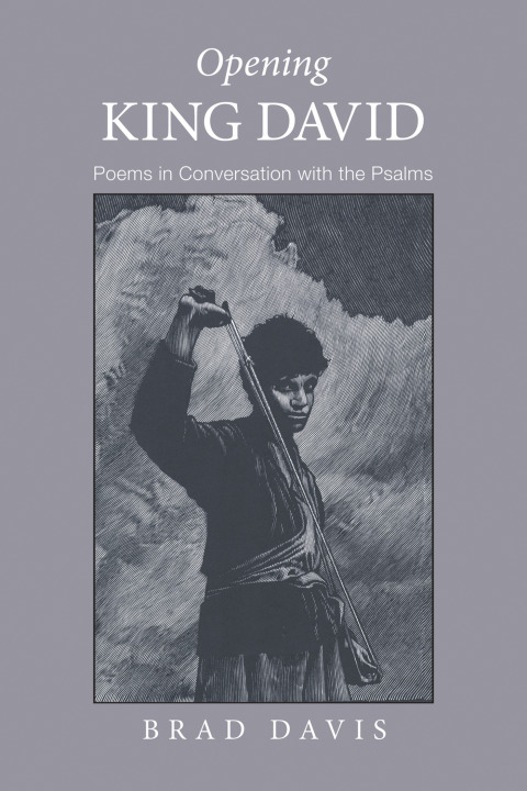 Cover image for book Opening King David