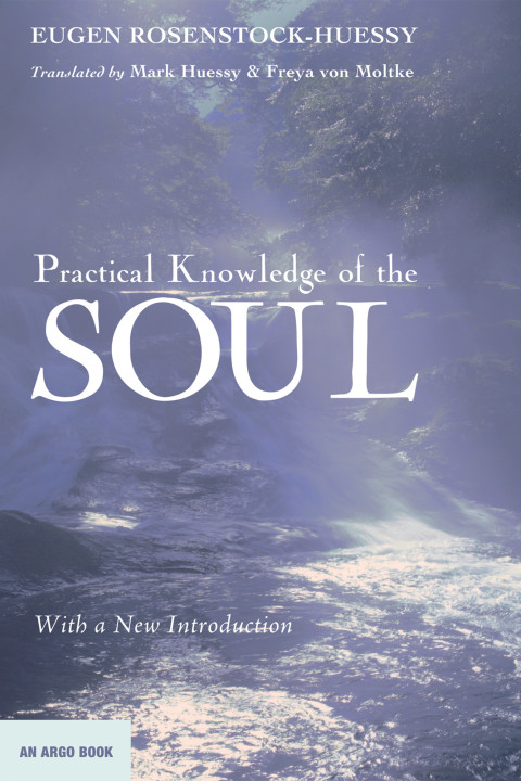 Cover image for book Practical Knowledge of the Soul