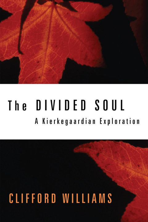Cover image for book The Divided Soul