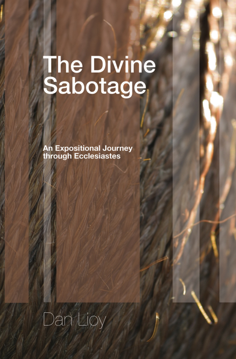 Cover image for book The Divine Sabotage