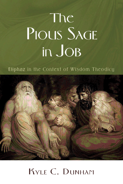 Cover image for book The Pious Sage in Job