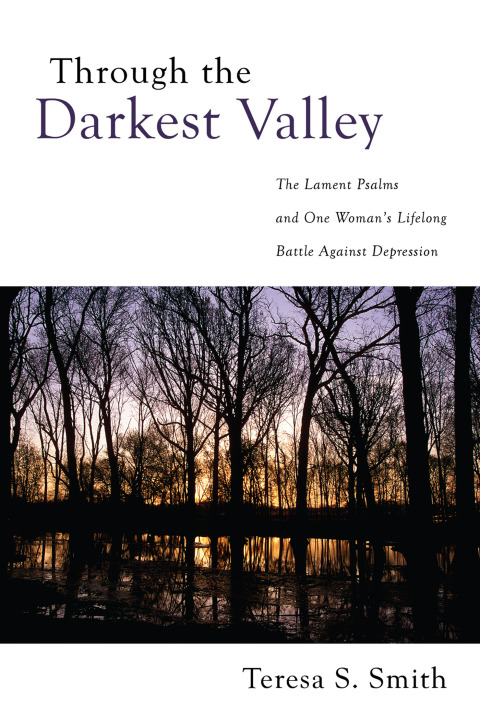 Cover image for book Through the Darkest Valley