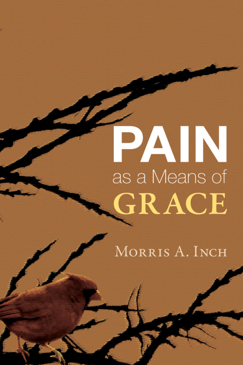 Cover image for book Pain as a Means of Grace