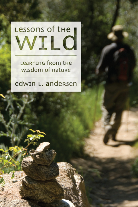 Cover image for book Lessons of the Wild