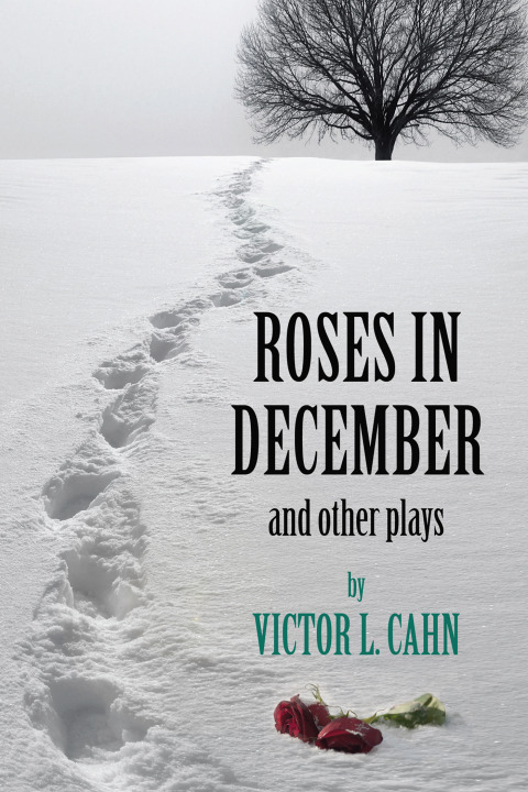 Cover image for book Roses in December