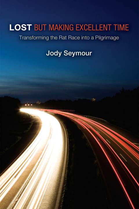 Cover image for book Lost but Making Excellent Time