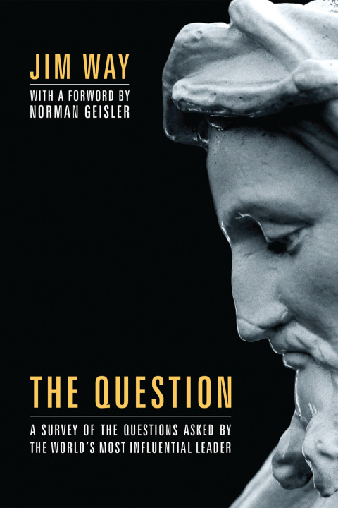 Cover image for book The Question