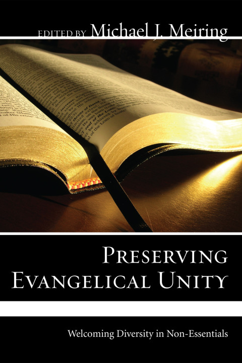 Cover image for book Preserving Evangelical Unity