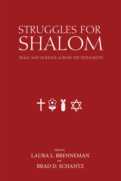 Cover image for book Struggles for Shalom