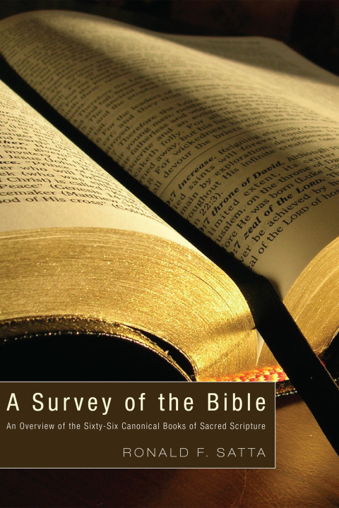 Cover image for book A Survey of the Bible