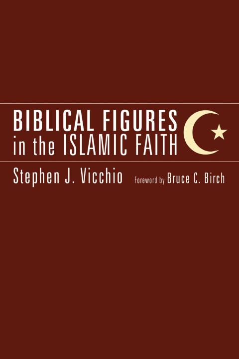 Cover image for book Biblical Figures in the Islamic Faith