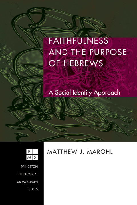 Cover image for book Faithfulness and the Purpose of Hebrews