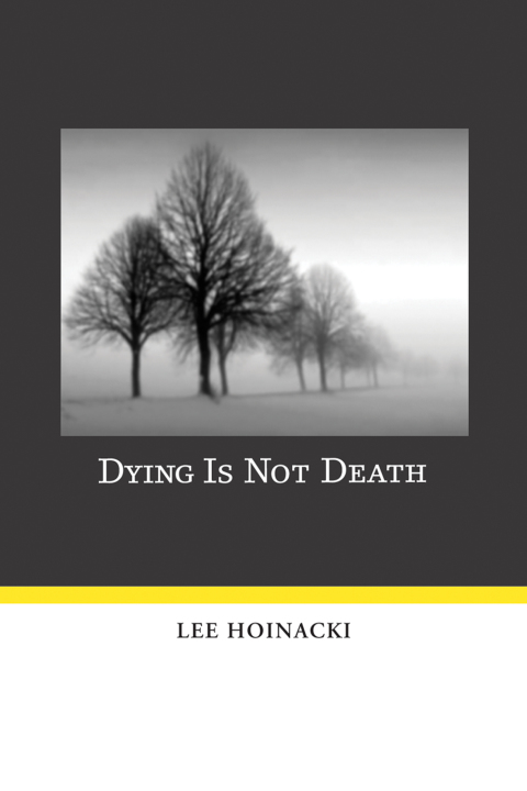 Cover image for book Dying Is Not Death