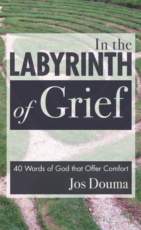 Cover image for book In the Labyrinth of Grief