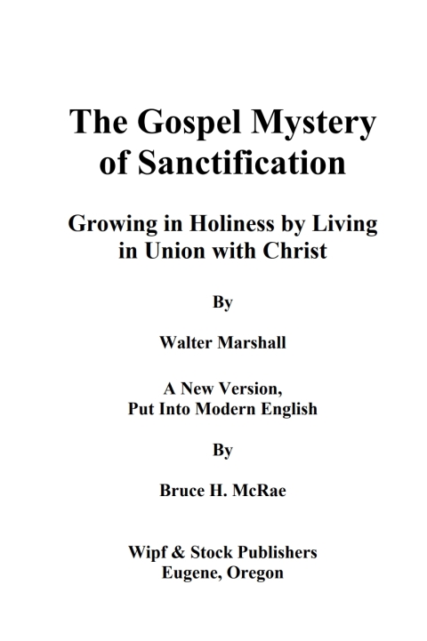 Cover image for book The Gospel Mystery of Sanctification