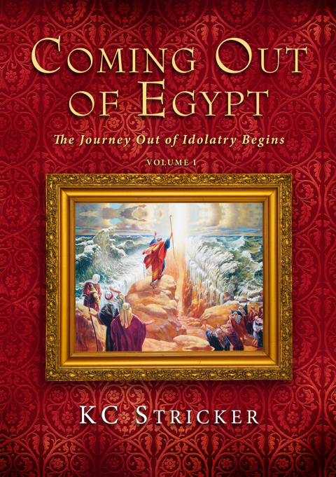 Cover image for book Coming Out of Egypt