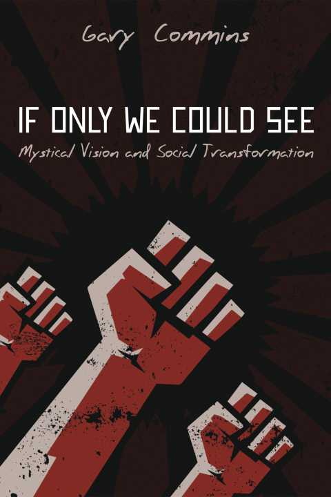 Cover image for book If Only We Could See