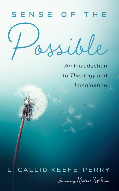 Cover image for book Sense of the Possible