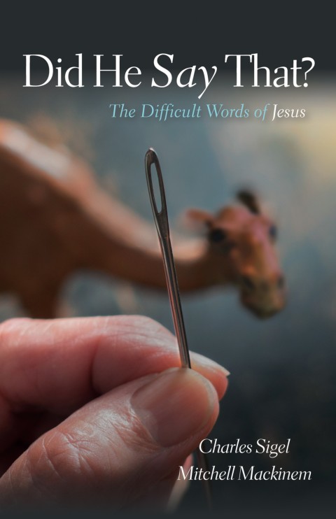 Cover image for book Did He Say That?