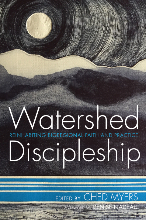 Cover image for book Watershed Discipleship