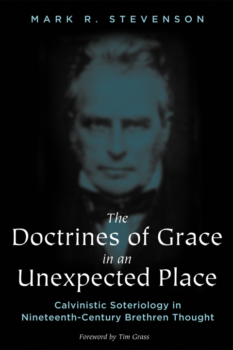 Cover image for book The Doctrines of Grace in an Unexpected Place