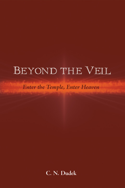 Cover image for book Beyond the Veil
