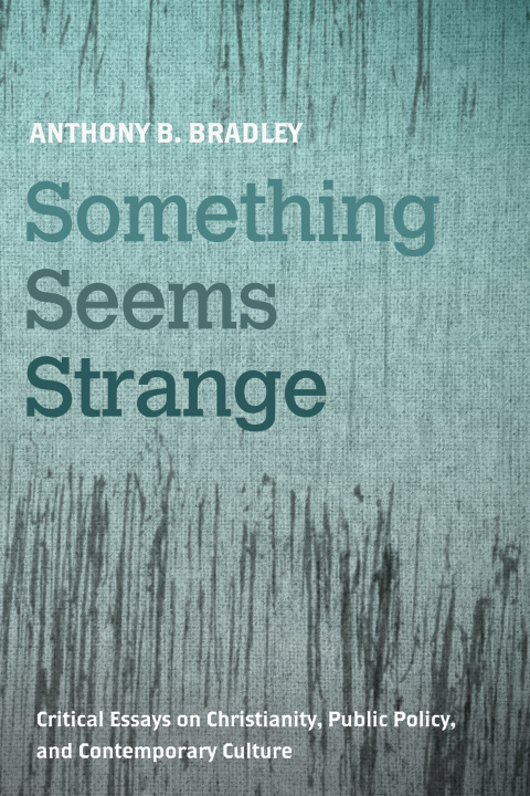 Cover image for book Something Seems Strange