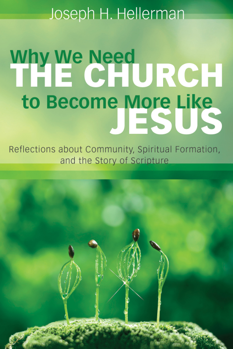 Cover image for book Why We Need the Church to Become More Like Jesus