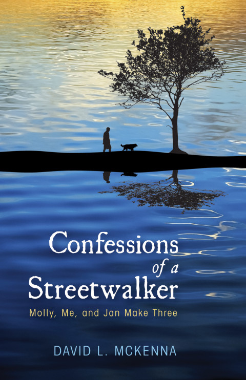 Cover image for book Confessions of a Streetwalker