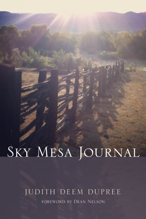 Cover image for book Sky Mesa Journal