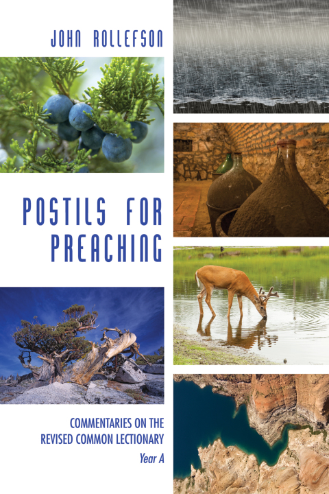 Cover image for book Postils for Preaching