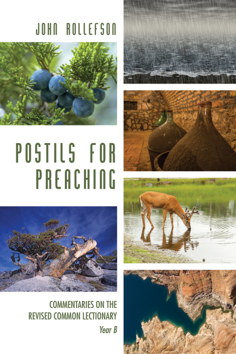 Cover image for book Postils for Preaching