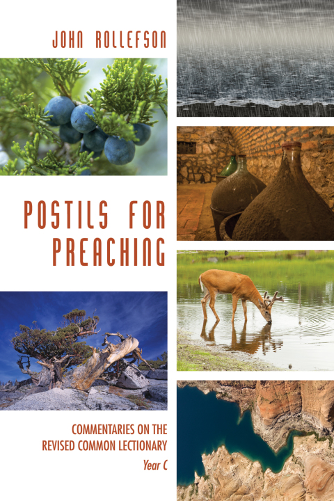Cover image for book Postils for Preaching