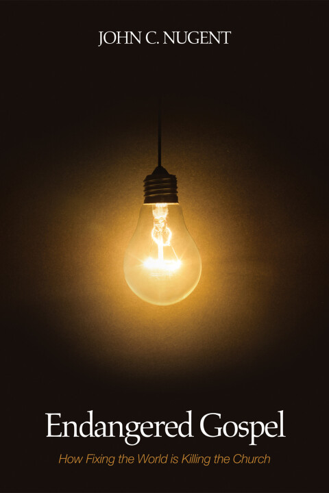 Cover image for book Endangered Gospel