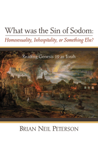Cover image: What was the Sin of Sodom: Homosexuality, Inhospitality, or Something Else? 9781498291828