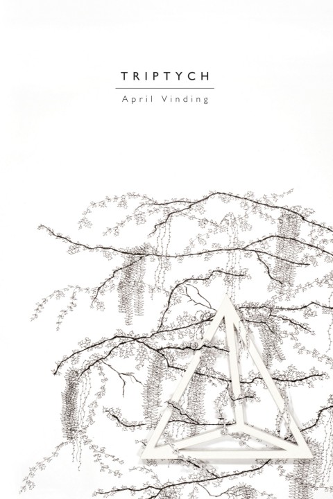 Cover image for book Triptych