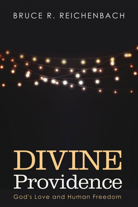 Cover image for book Divine Providence
