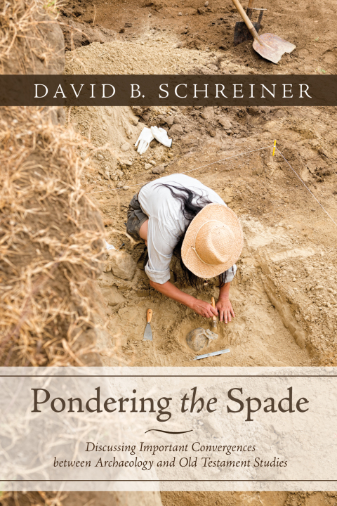 Cover image for book Pondering the Spade
