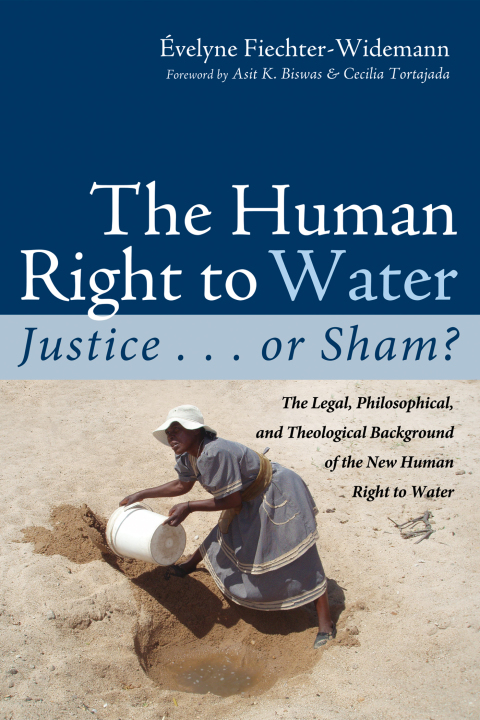 Cover image for book The Human Right to Water: Justice . . . or Sham?