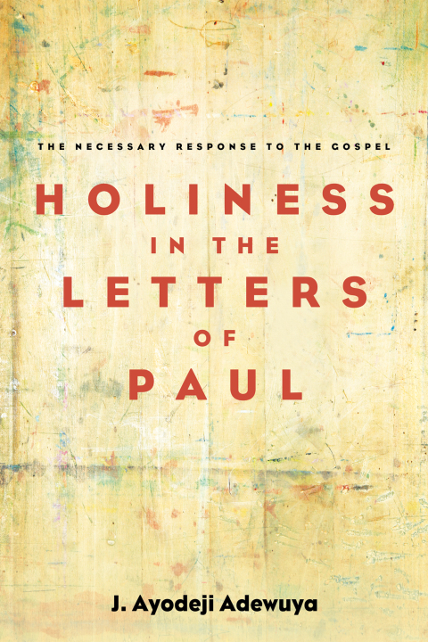 Cover image for book Holiness in the Letters of Paul