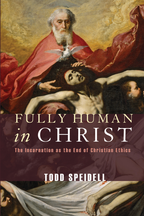 Cover image for book Fully Human in Christ