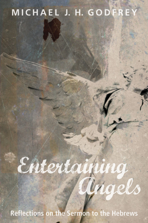 Cover image for book Entertaining Angels