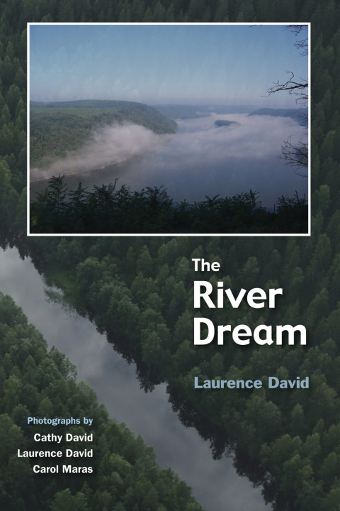 Cover image for book The River Dream