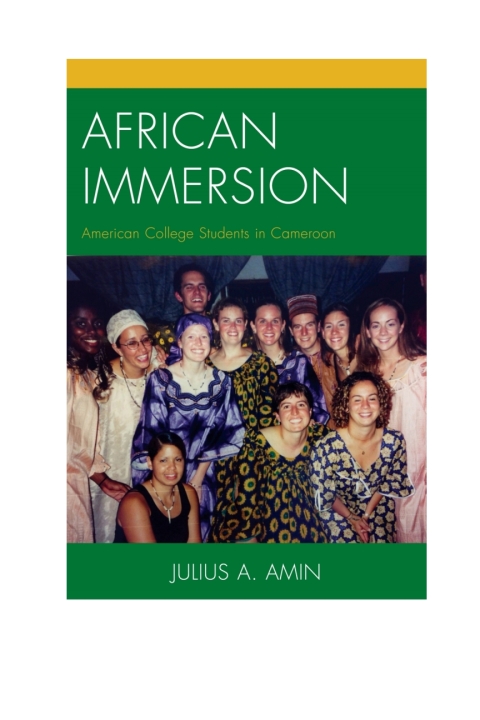 Cover image for book African Immersion
