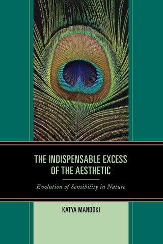 The Indispensable Excess of the Aesthetic