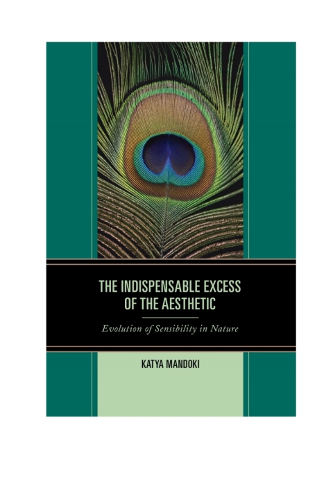 Cover image for book The Indispensable Excess of the Aesthetic