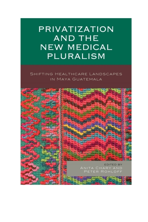 Cover image for book Privatization and the New Medical Pluralism